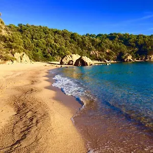 bungalow-cala-canyelles.catalonia-hotels.com/