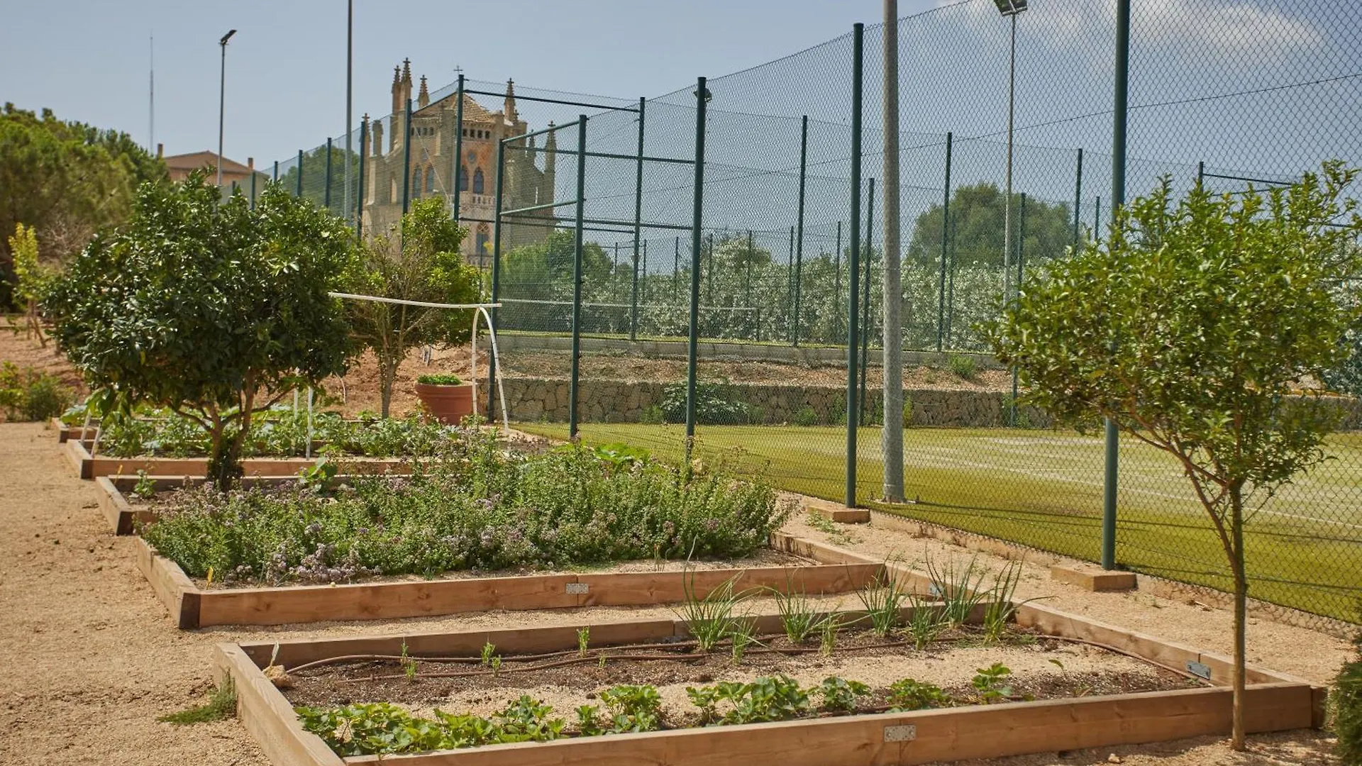 ***** Hotel Zoetry Mallorca Wellness & Spa (Adults Only) Llucmajor  Spain